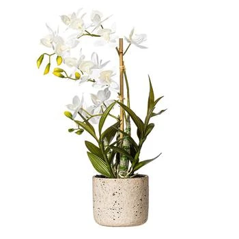 Vickerman | 19" Artificial White Deluxe Potted Cycnoches Orchid.,商家Macy's,价格¥599