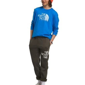 The North Face | Big Boys Long-Sleeve Graphic T-shirt,商家Macy's,价格¥161