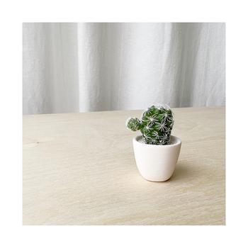商品Tierra Sol Studio | Lino Mini Cactus Kit,商家Macy's,价格¥156图片
