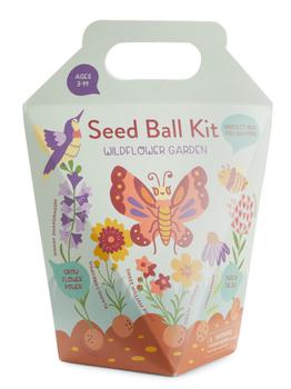 推荐Do-It-Yourself Seed Ball Kit商品