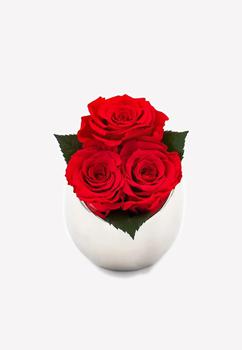 商品OnlyRoses | Infinite Rose Fortune,商家Thahab,价格¥1484图片