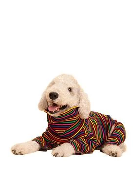 Little Beast | Fantastic Onesie for Dogs,商家Bloomingdale's,价格¥249