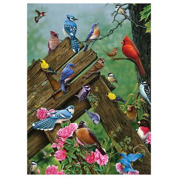 商品Cobble Hill Birds of the Forest 1000 Piece Jigsaw Puzzle图片