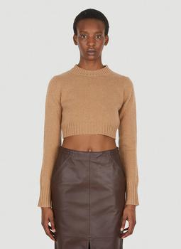 推荐Eureka Cropped Sweater in Brown商品