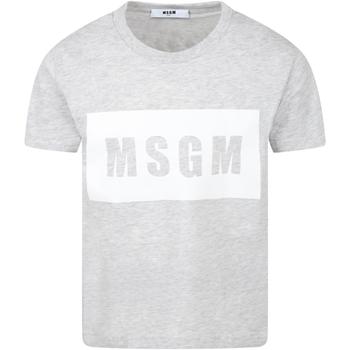 商品MSGM | MSGM Grey T-shirt For Kids With Logo,商家Italist,价格¥622图片
