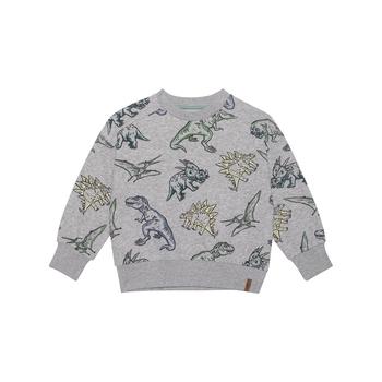 商品Boy Printed French Terry Sweatshirt Light Heather Grey Dinosaurs - Toddler|Child图片