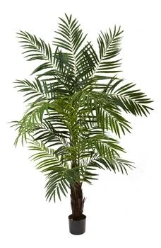 NEARLY NATURAL | 6' Artificial Areca Palm Tree,商家Nordstrom Rack,价格¥1312