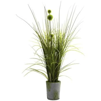 NEARLY NATURAL | Grass & Dandelion Artificial Arrangement with Cement Planter,商家Macy's,价格¥603
