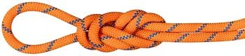 Mammut | Mammut 9.0 Alpine Sender Dry Rope,商家Dick's Sporting Goods,价格¥2225