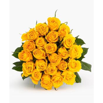 商品BloomsyBox | Two Dozen Yellow Roses Fresh Flower Bouquet,商家Macy's,价格¥500图片