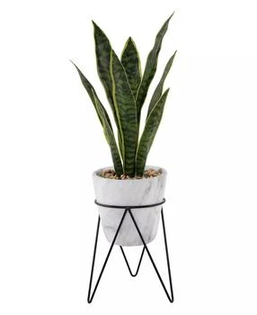 Flora Bunda | 21" Snake Plant in Marble on Metal Stand,商家Macy's,价格¥659