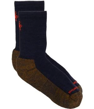 SmartWool | Smartwool Kids Hike Light Cushion Crew (Toddler/Little Kid/Big Kid),商家Zappos,价格¥111