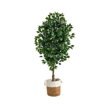 NEARLY NATURAL | 6' Ficus Artificial Tree with Natural Trunk in Planter,商家Macy's,价格¥1280