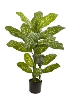 NEARLY NATURAL | 4ft. Dieffenbachia Plant - Real Touch,商家Nordstrom Rack,价格¥768