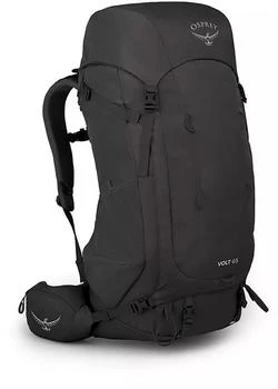 Osprey | Osprey Men's Volt 65L Backpack 