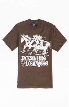 推荐x PacSun Jackson Hole T-Shirt商品