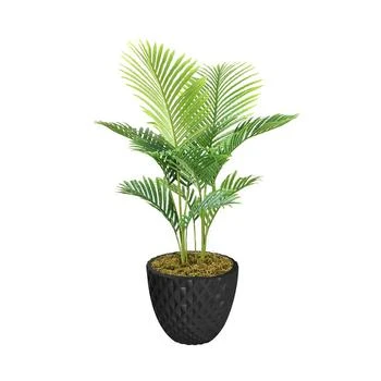 Laura Ashley | 49.6" Real Touch Palm Tree in Fiberstone Planter,商家Macy's,价格¥4960