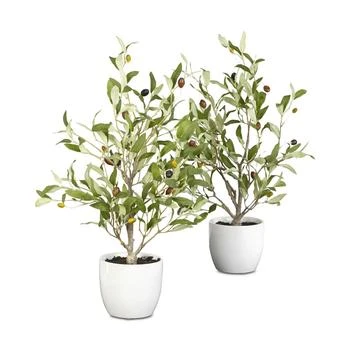 NEARLY NATURAL | 2-Pc. 18" Olive Tree Set with Vases,商家Macy's,价格¥906