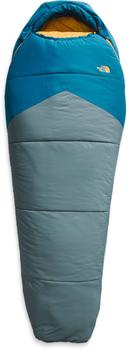 商品The North Face | The North Face Wasatch Pro 20 Sleeping Bag,商家Dick's Sporting Goods,价格¥905图片