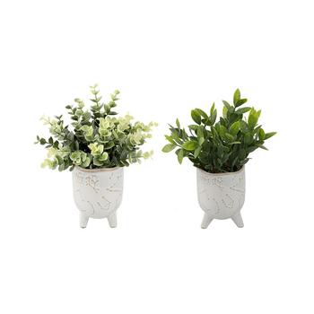 商品Flora Bunda | Tea Leaf in Constellation Footed Set, 2 Piece,商家Macy's,价格¥501图片