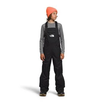 The North Face | Big Boys Heavyweight Freedom Insulated Ski Bib,商家Macy's,价格¥460