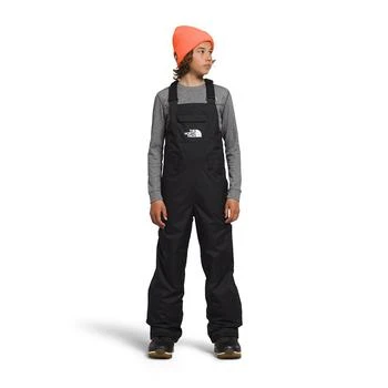 推荐Big Boys Heavyweight Freedom Insulated Ski Bib商品