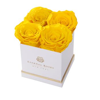 商品Eternal Roses | Lennox Small White Gift Box,商家Lord & Taylor,价格¥750图片