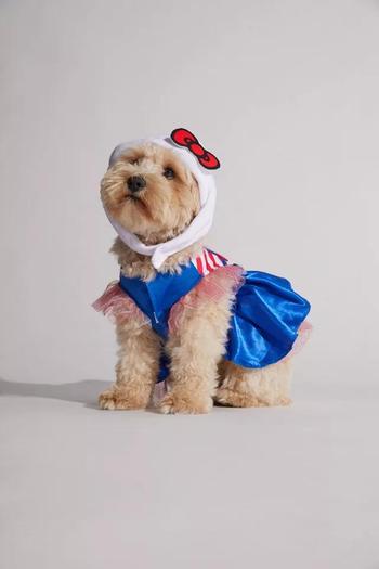 商品Urban Outfitters | Hello Kitty Pet Halloween Costume,商家Urban Outfitters,价格¥350图片