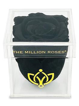 商品The Million Roses | Black Rose In Single Rose Box,商家Saks Fifth Avenue,价格¥446图片