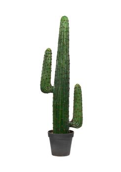 商品Vickerman | Cactus In Gray And Light Red Pot,商家Belk,价格¥4505图片