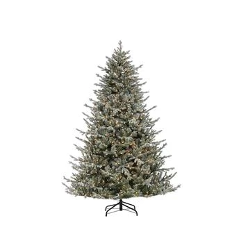 Sterling | 7.5Ft. Lightly Flocked Natural Cut Olympia Fir with 800 Clear Lights,商家Macy's,价格¥16060