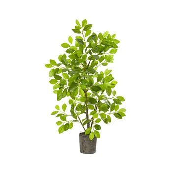 NEARLY NATURAL | 3' Ficus Artificial Tree in Planter,商家Macy's,价格¥1123