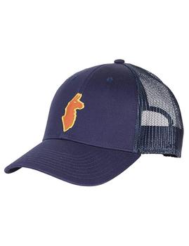 推荐Cotopaxi The Llama Trucker Hat - Maritime Colour: Maritime商品