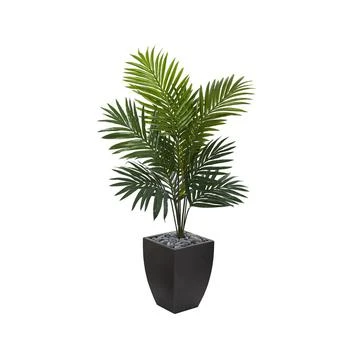 NEARLY NATURAL | 4.5' Kentia Palm Artificial Tree in Black-Washed Planter,商家Macy's,价格¥2142