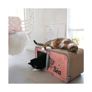 商品District 70 Sardine Cardboard Cat Scratcher图片