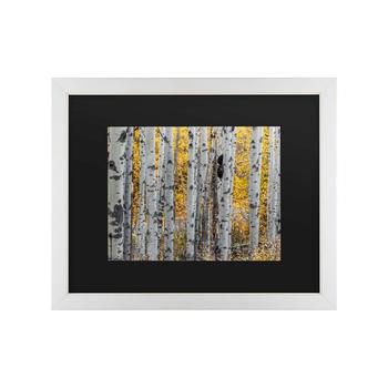 商品Trademark Global | Pierre Leclerc Aspen Trees Matted Framed Art - 20" x 25",商家Macy's,价格¥426图片