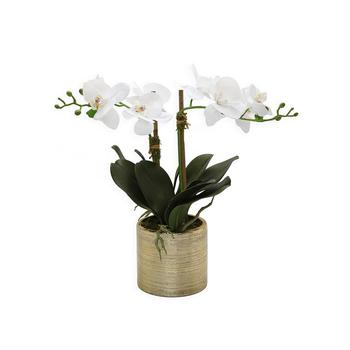 商品Vivience | 2 Branched Orchid Plant in Matte Pot,商家Macy's,价格¥421图片