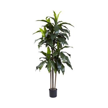 NEARLY NATURAL, NEARLY NATURAL | 5' Dracaena Plant UV Resistant商品图片 6.9折