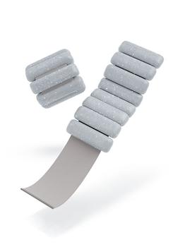 商品Bala | Holiday 2-Piece Weight Set/1 lb.,商家Saks Fifth Avenue,价格¥394图片