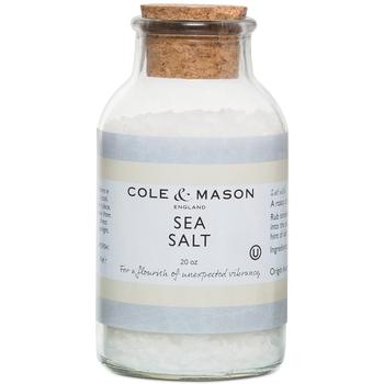 商品Sea Salt, 20-oz.图片