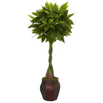 NEARLY NATURAL | 5' Money Artificial Tree in Decorative Planter,商家Macy's,价格¥2261
