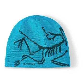 推荐Arc'teryx Bird Head Toque | Our Classic Winter Toque商品