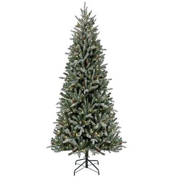 National Tree Company | 7' Pre-Lit Snowy Olallie Pine Tree with LED Lights,商家Macy's,价格¥8979