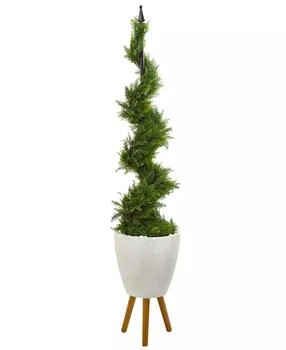 NEARLY NATURAL | 6ft. Cypress Artificial Spiral Topiary Tree in White Planter with Stand,商家Macy's,价格¥2258