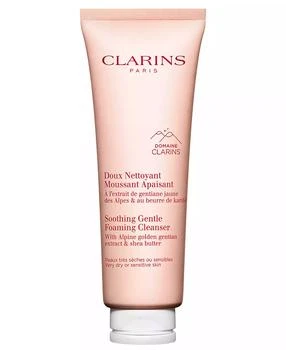 Clarins | Soothing Gentle Foaming Cleanser With Shea Butter,商家Macy's,价格¥194