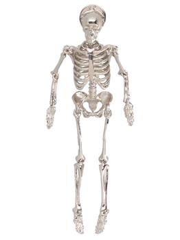 商品RAF SIMONS | Raf Simons skeleton Pin,商家Italist,价格¥2762图片
