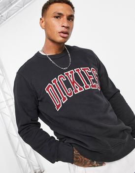 迪克斯怎么样, DICKIES | Dickies Aitkin sweatshirt in black商品图片 7.5折