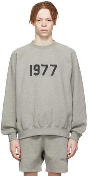product Gray Cotton Sweatshirt image