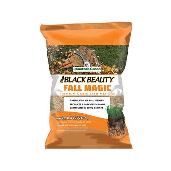 商品Jonathan Green | (#10765) Black Beauty Fall Magic Grass Seed, 3lb bag,商家Macy's,价格¥200图片