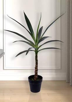 商品Vickerman | Green Yucca Tree in Black Planters Pot,商家Belk,价格¥855图片